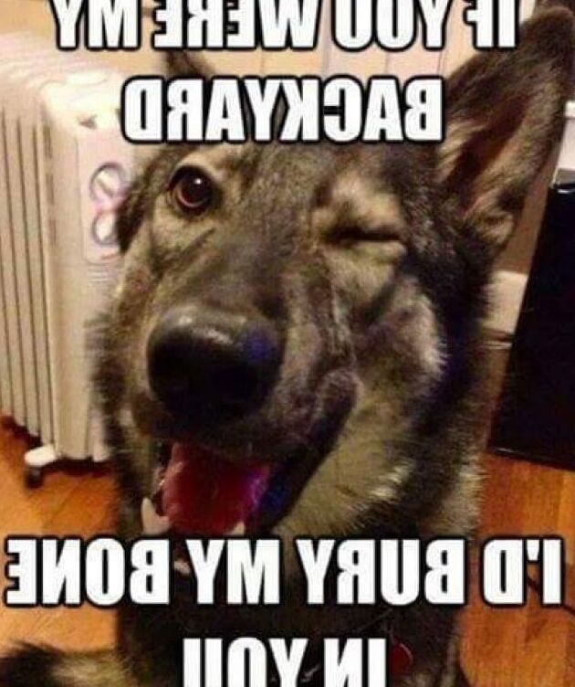 Funnier Than FUCKIN&; MAMA&;S COCK, FART-BREATH!!!
