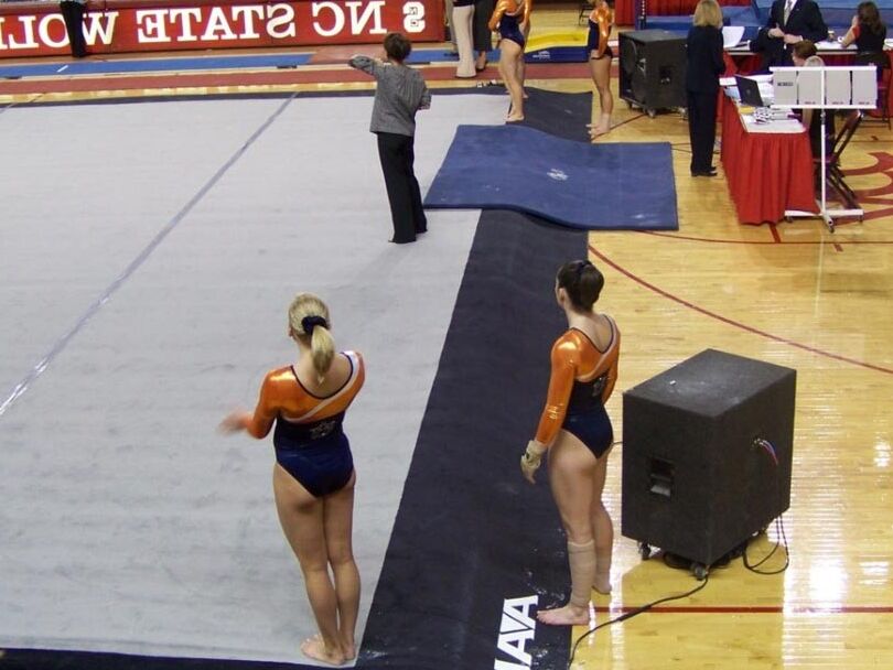 Gymnastic