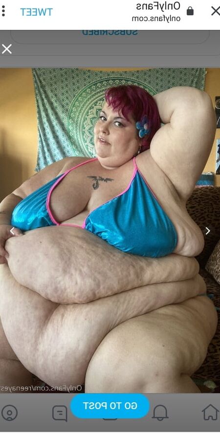 Hoodyman SSBBW . Reenaye Starr fox special .