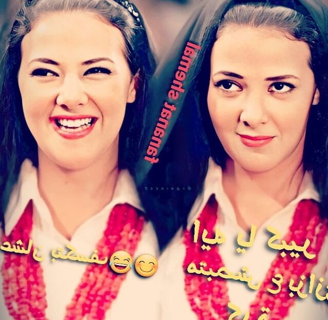 Celebrity egypt