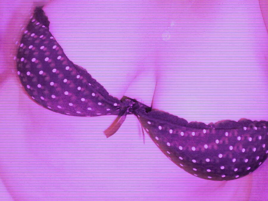 gordita