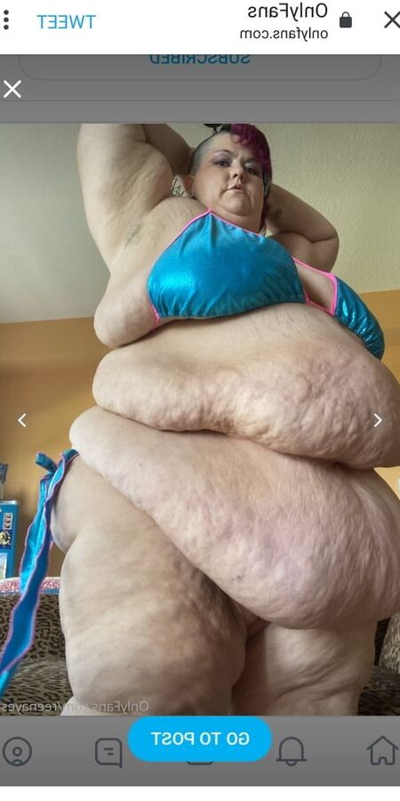 Hoodyman SSBBW . Reenaye Starr fox special .