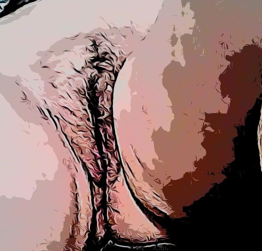 Wife cartoons photos big butts
