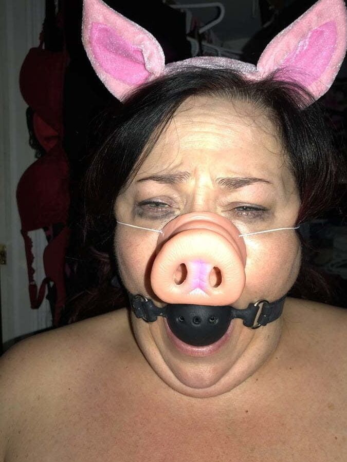 Scottish ( Welsh) Chubbys