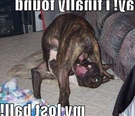 Funnier Than FUCKIN&; MAMA&;S COCK, FART-BREATH!!!