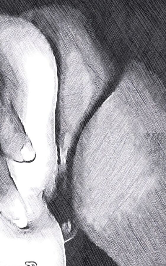 Wife cartoons photos big butts