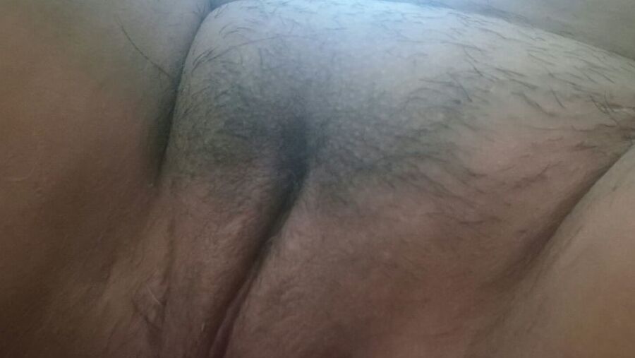 perra sumisa