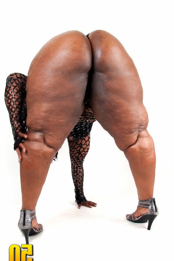 Asses in High Heels