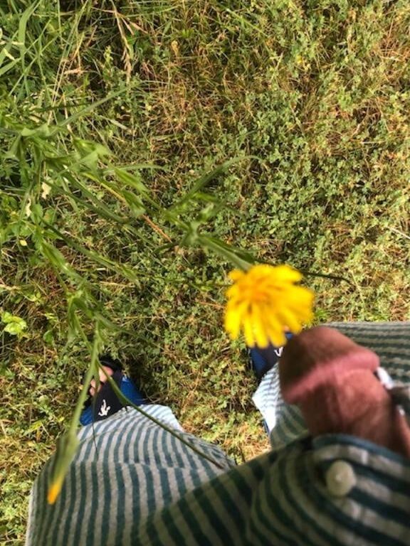 My small cock outdoors