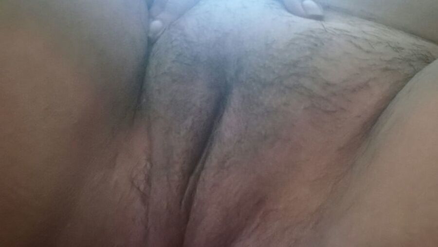 perra sumisa