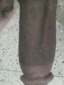 Traipla asd