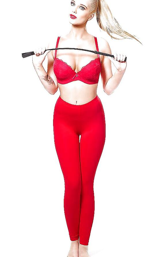 Suspender Tights