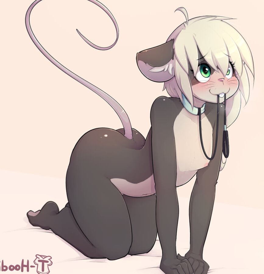 Furry Girls: Sexy Rodent Girls
