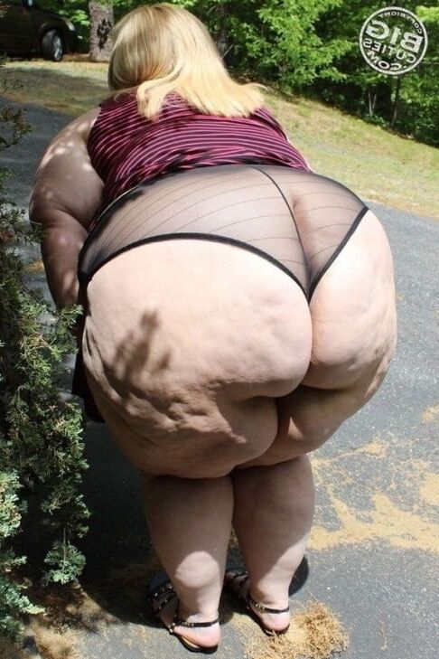Fat Asses &amp; Anal Hentai
