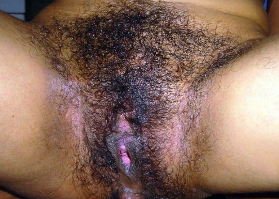 Assortment of hairy pussies ()