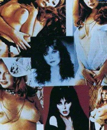 Elvira Mistress of the Night AKA Cassandra Peterson