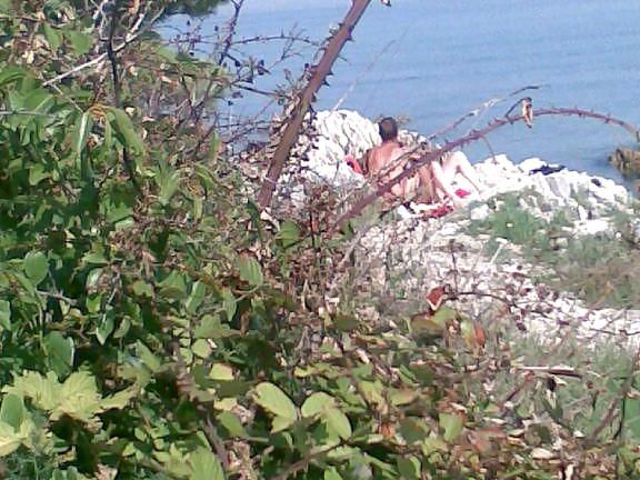 spy foto