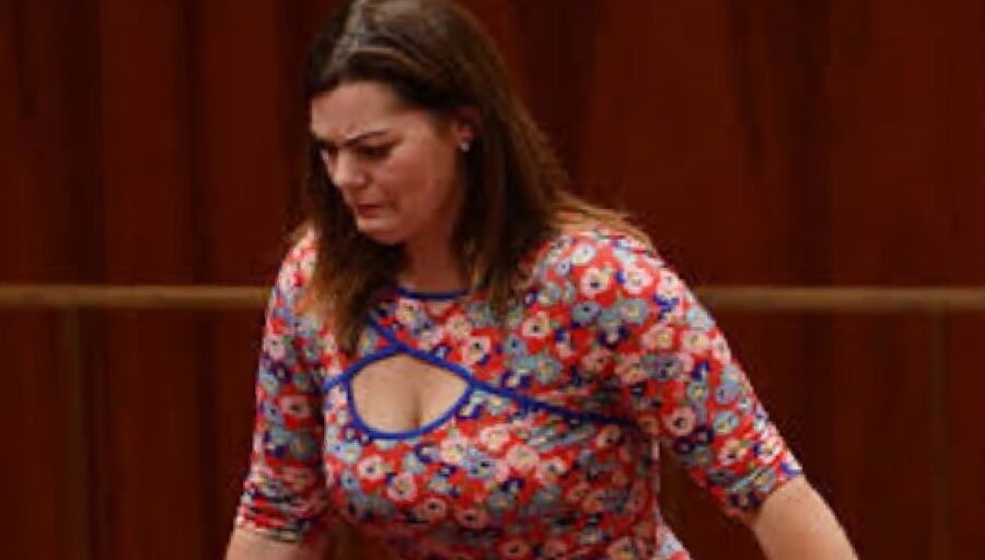 Huge tits bbw politicians