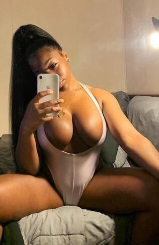 Chocolate Stallion