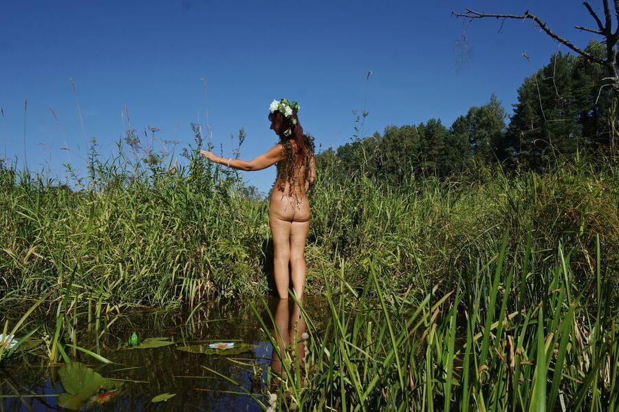 In Pond with Waterflowers