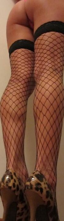 asses and thongs ii.