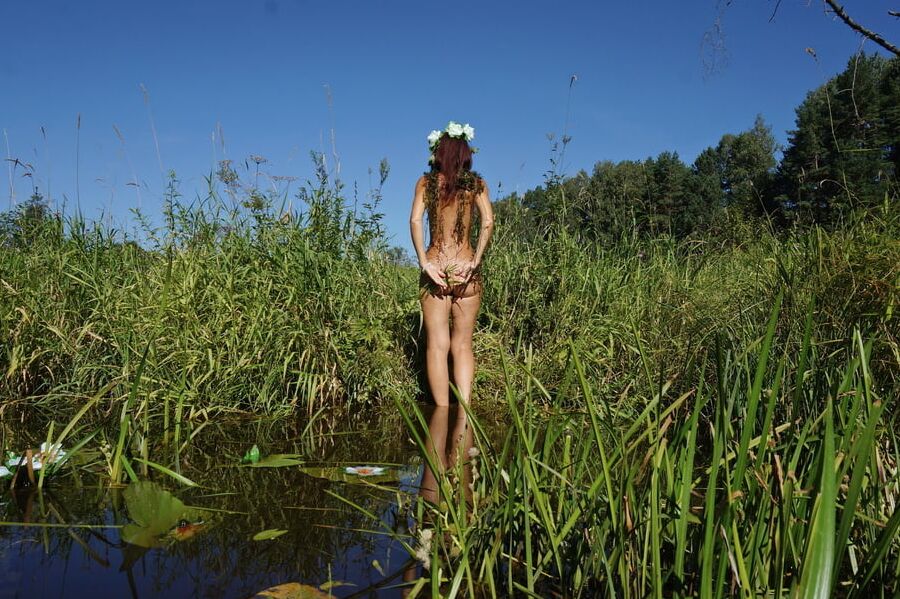 In Pond with Waterflowers