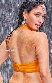 Tamanna navel