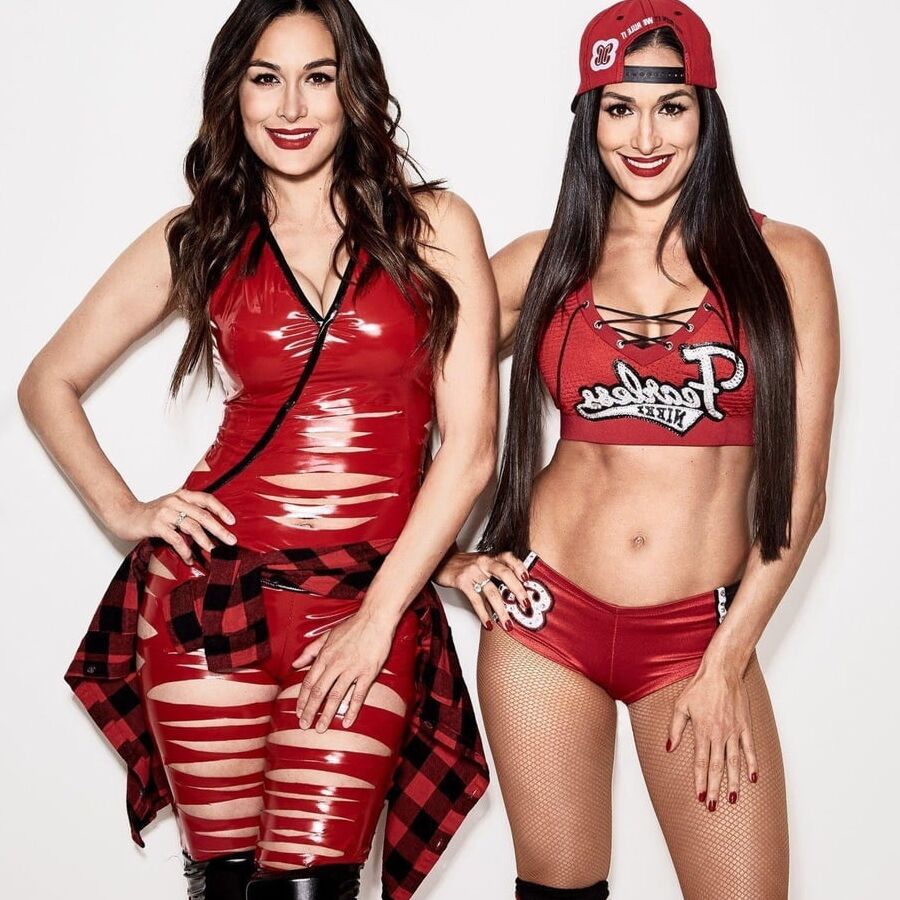 The Bella twins Nikki and Brie Bella wwe