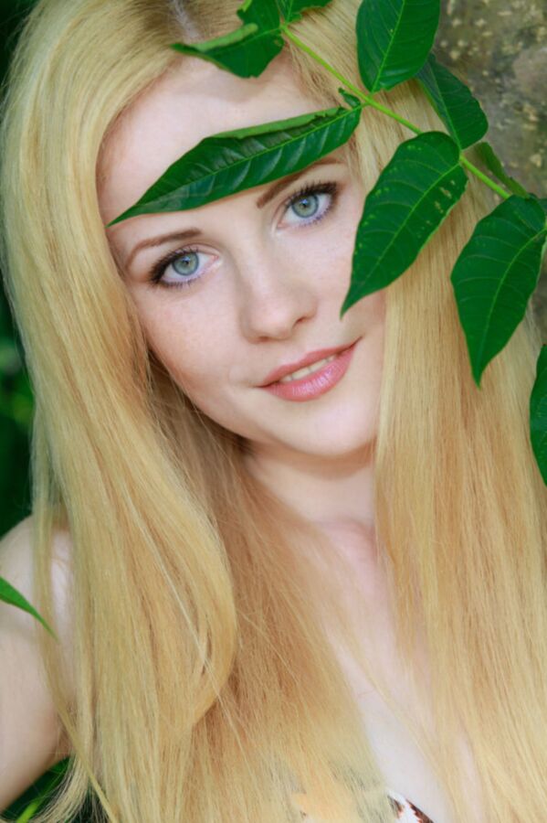 Fay Carroll