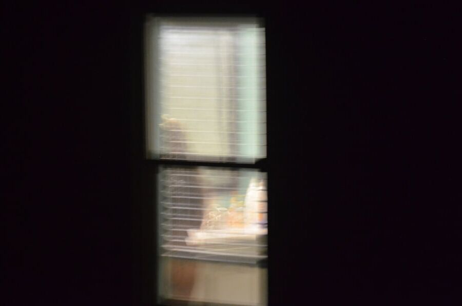 Neighbor&;s Pics