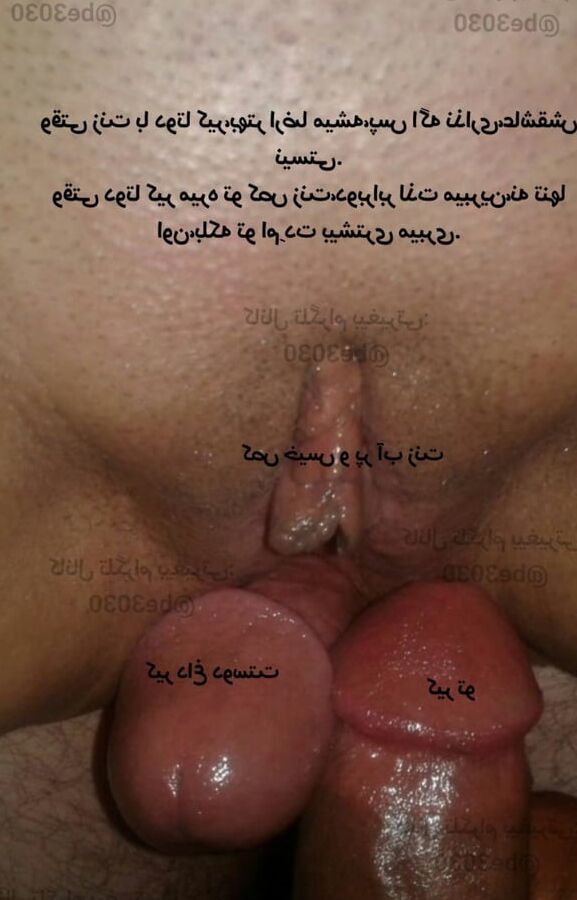 Irani iran persian arab