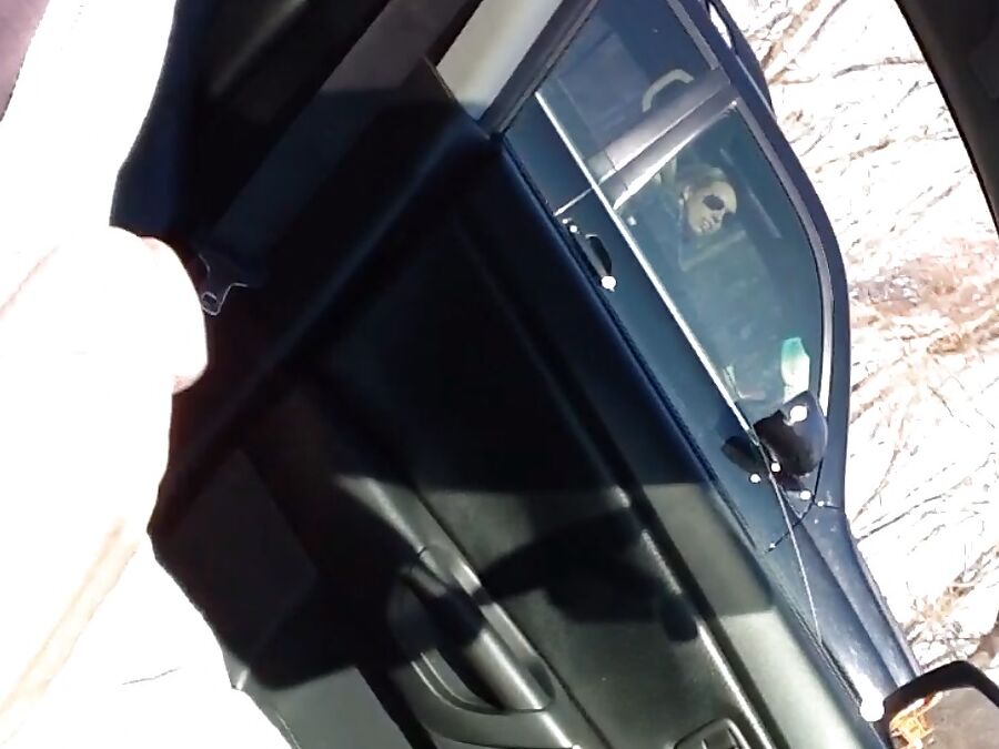 Cock flashing in Train and Bus