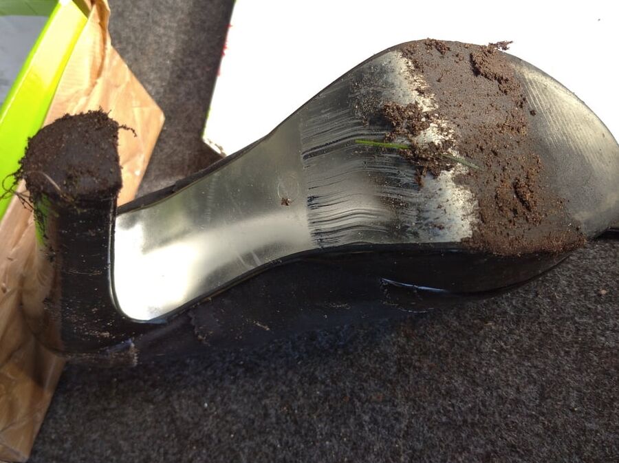 dirty shoes