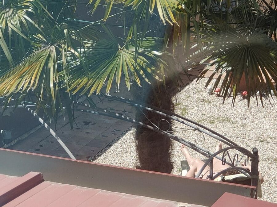 Empezando a tomar el sol