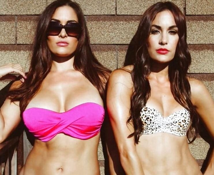 The Bella twins Nikki and Brie Bella wwe