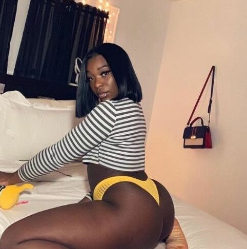 Chocolate Stallion