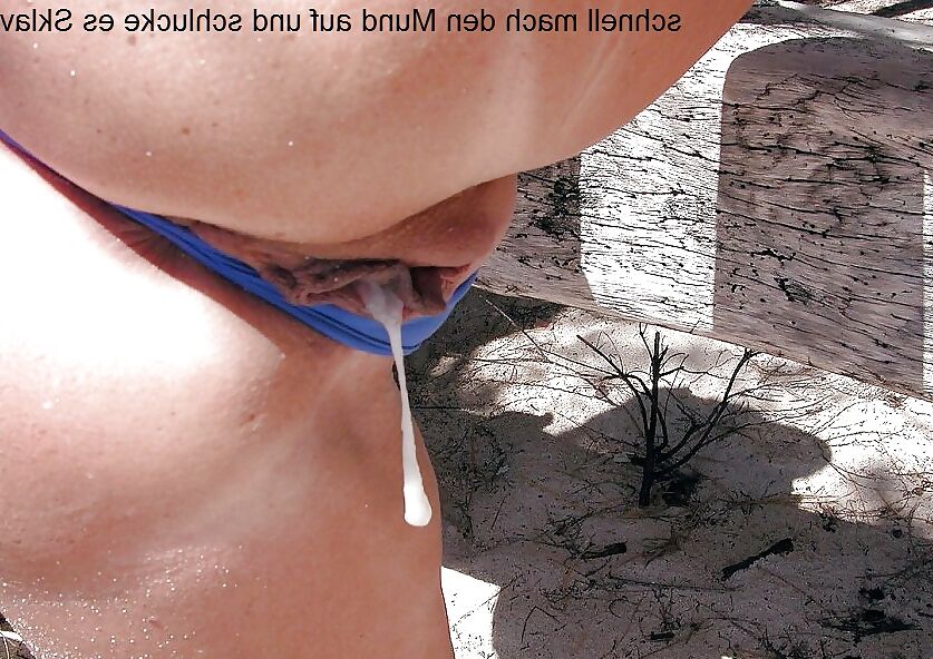 Netzfund