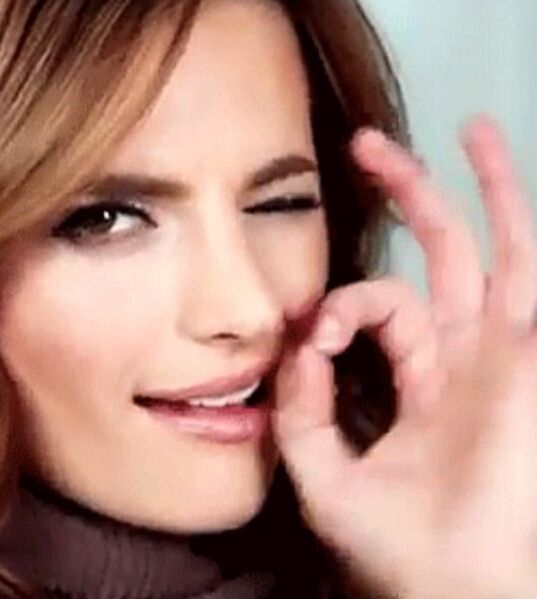 STANA KATIC