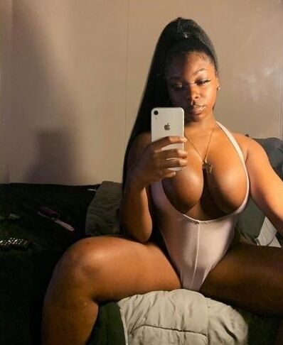 Chocolate Stallion