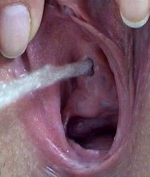 Bitches Love Getting Used