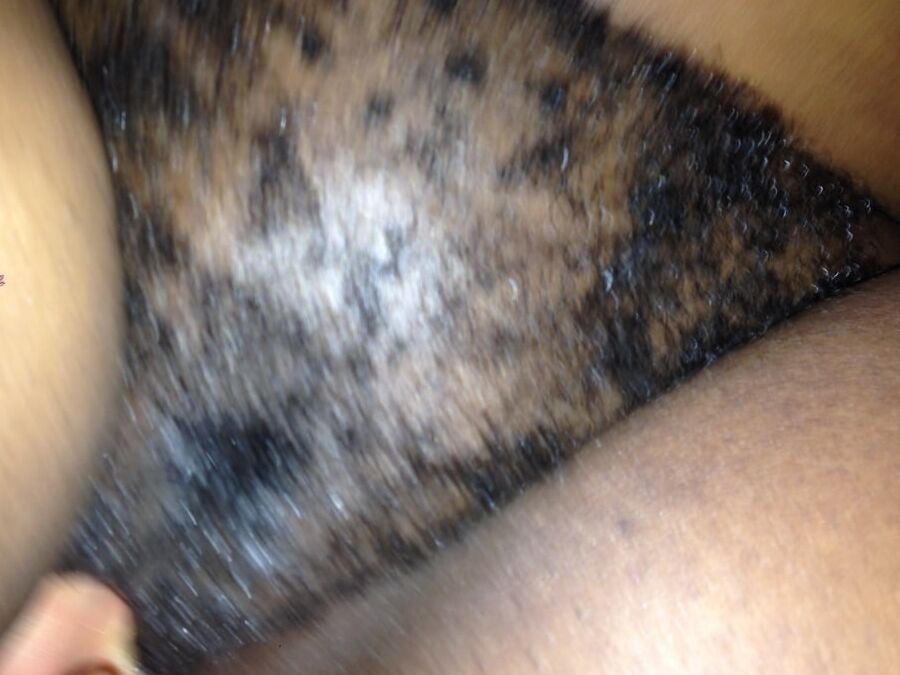 Big Haitian Bush
