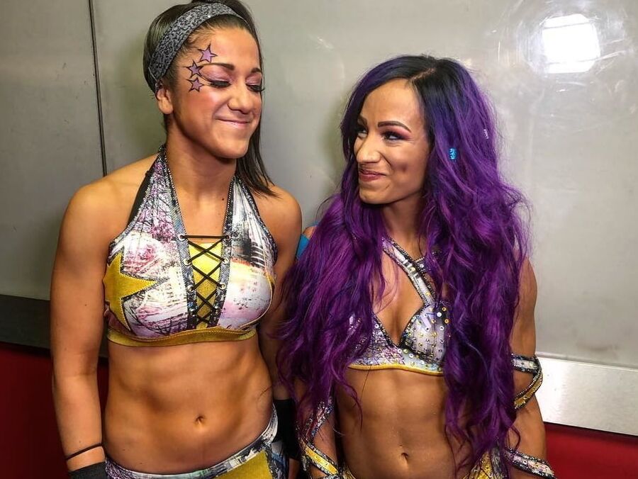 Who you gonna fuck? WWE