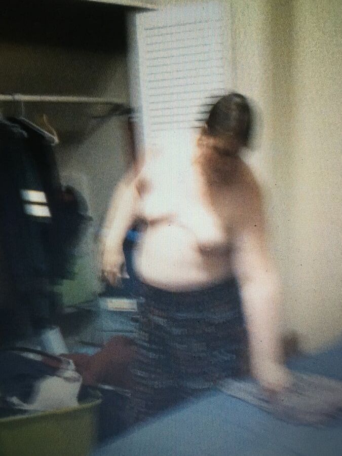bbw slut
