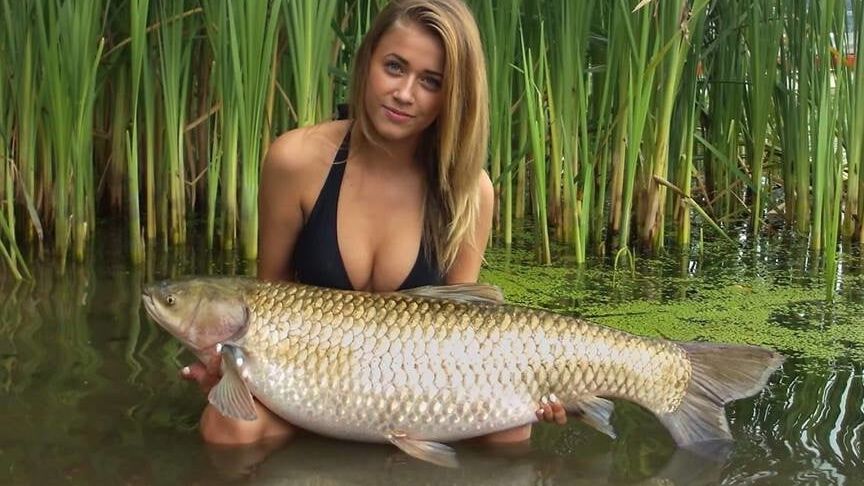Fish Hunters