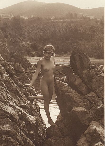 Vintage naturalists