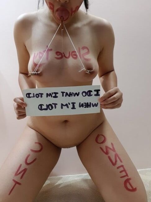 Devoted bitches III