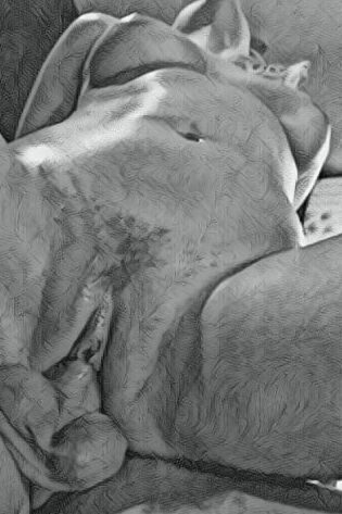art fun