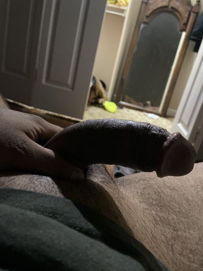 Hard cock