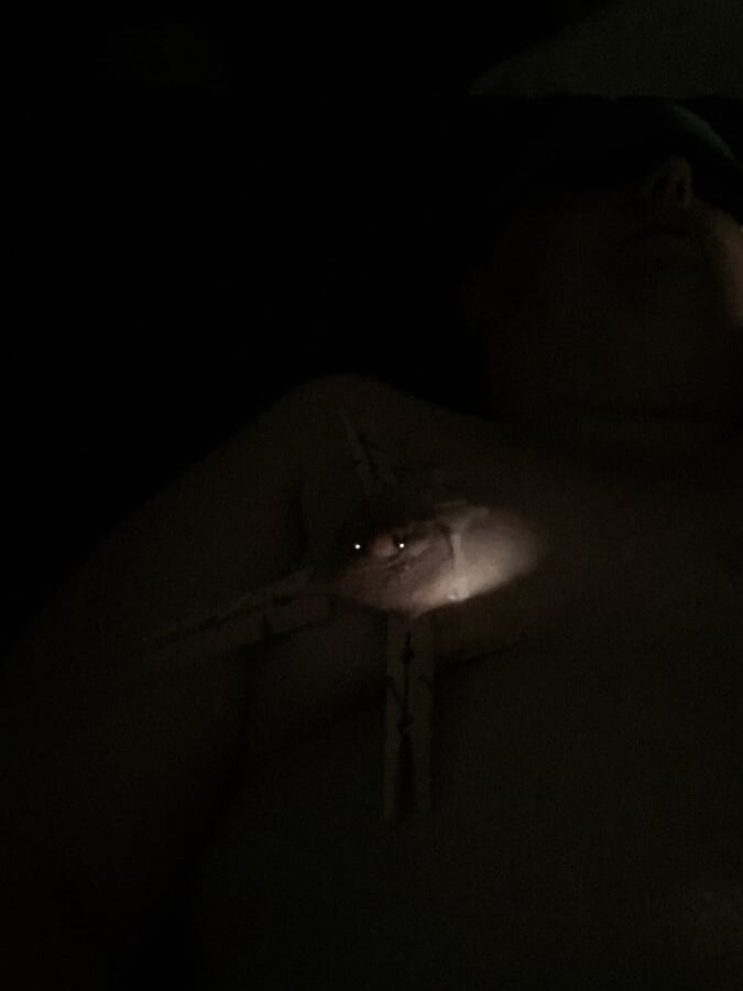 bbw slut