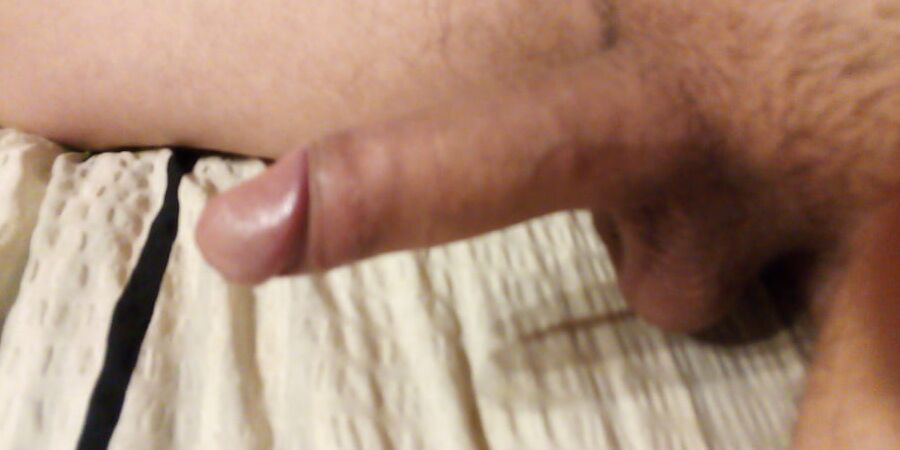 German young cock